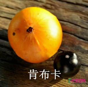 肯布卡嘉宝果