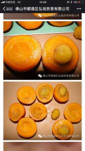 肯布卡嘉宝果
