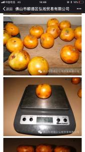 肯布卡嘉宝果